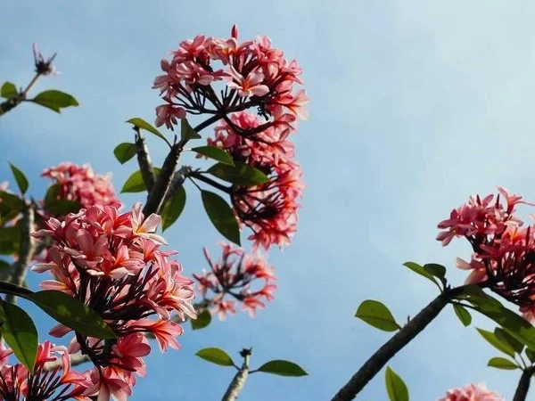 Top 8 không gian sống optio consequatur vel